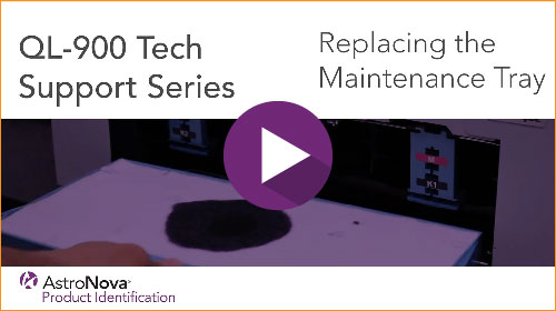 QL-900 Technical Setup: Replacing the Maintenance Tray