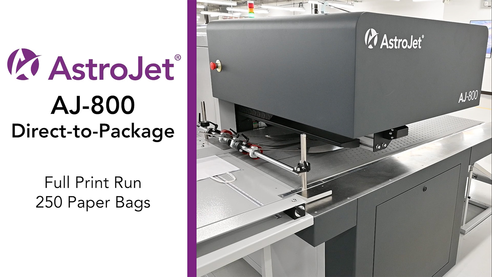 AstroJet AJ-800: Full Print Run of 250 Paper Bags